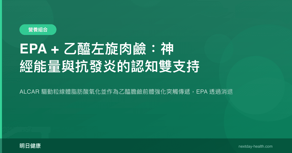 EPA + 乙醯左旋肉鹼：神經能量與抗發炎的認知雙支持
