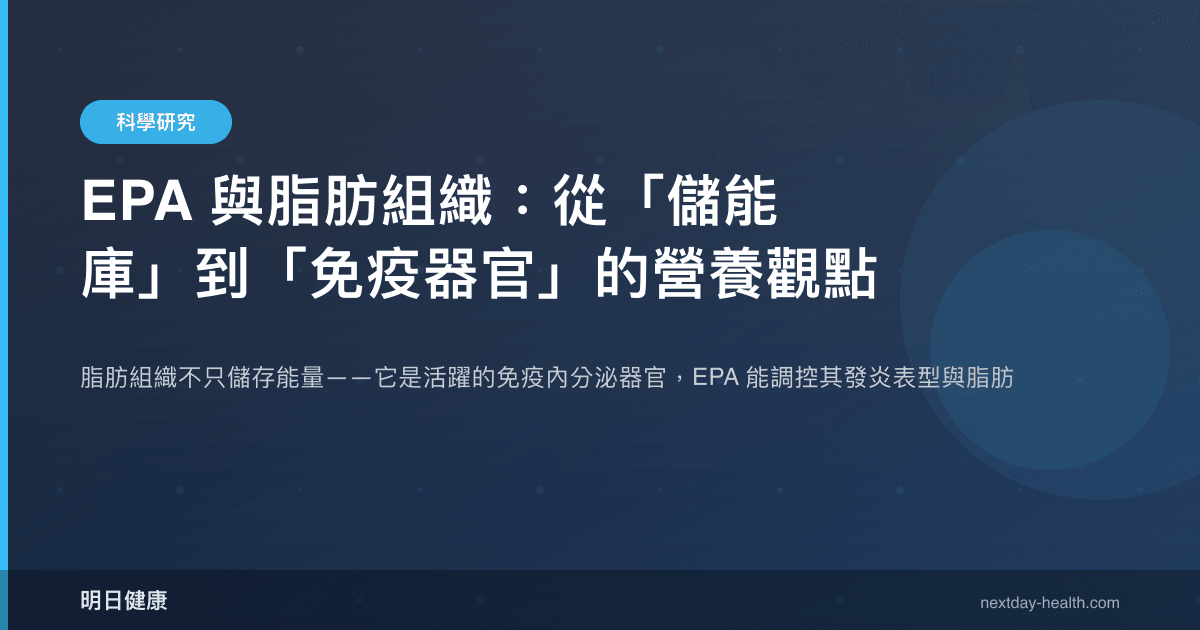 EPA 與脂肪組織：從「儲能庫」到「免疫器官」的營養觀點