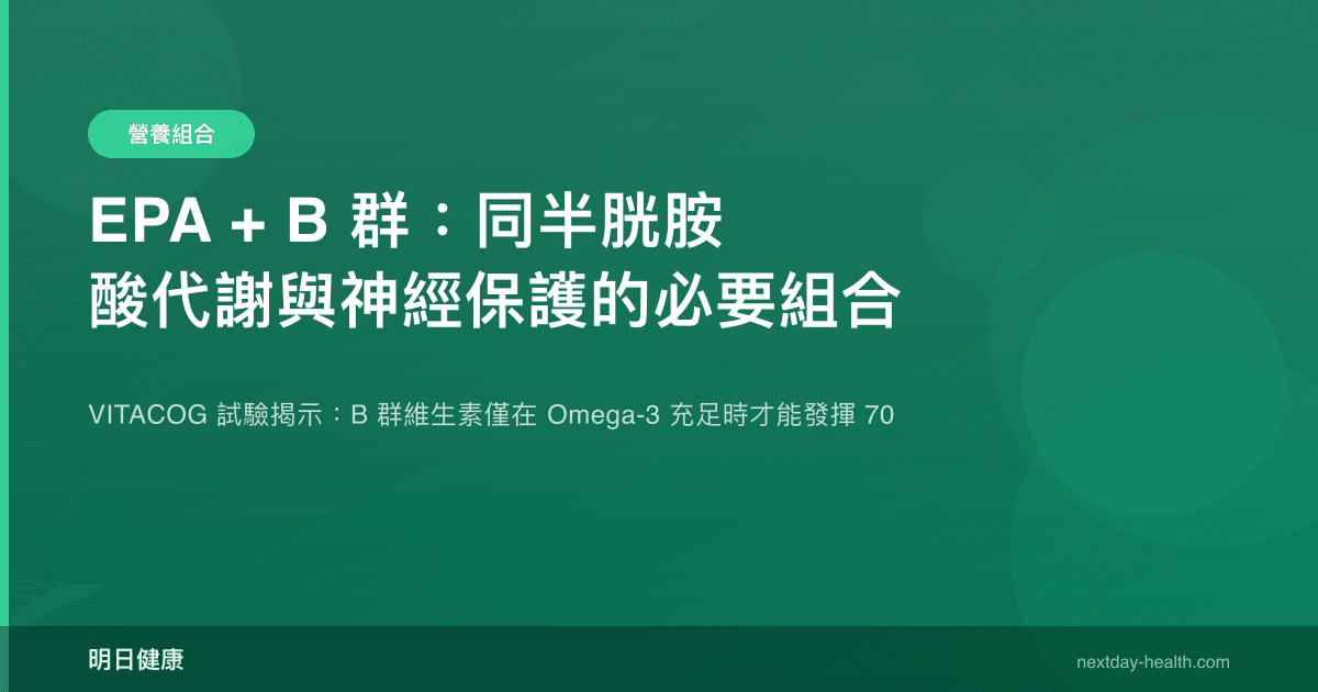 EPA + B 群：同半胱胺酸代謝與神經保護的必要組合
