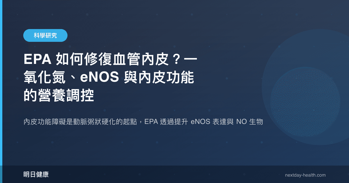 EPA 如何修復血管內皮？一氧化氮、eNOS 與內皮功能的營養調控