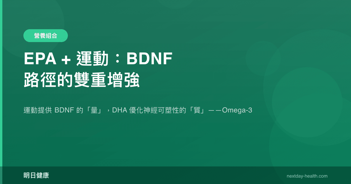 EPA + 運動：BDNF 路徑的雙重增強