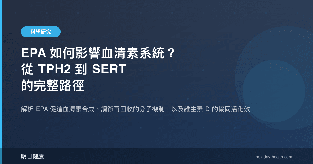 EPA 如何影響血清素系統？從 TPH2 到 SERT 的完整路徑