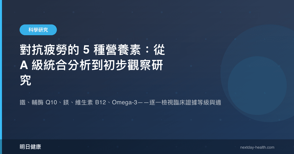對抗疲勞的 5 種營養素：從 A 級統合分析到初步觀察研究