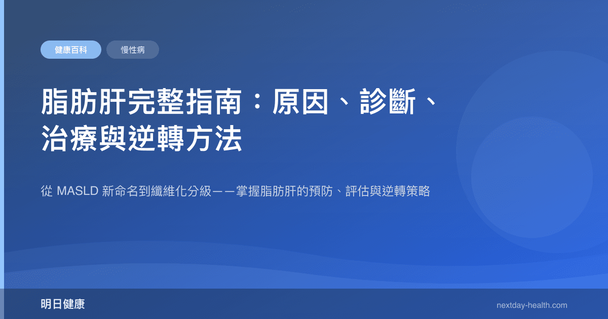 脂肪肝完整指南：原因、診斷、治療與逆轉方法