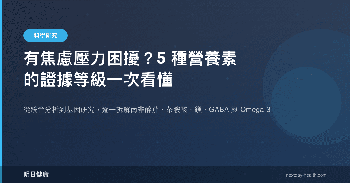 有焦慮壓力困擾？5 種營養素的證據等級一次看懂