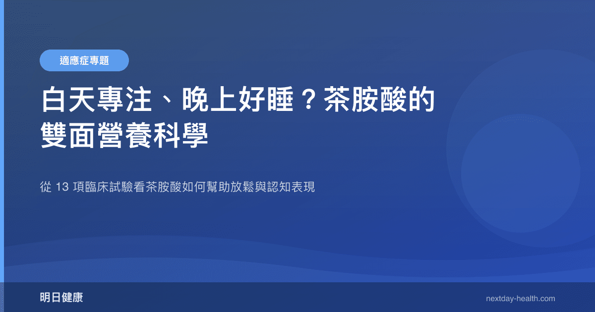 白天專注、晚上好睡？茶胺酸的雙面營養科學
