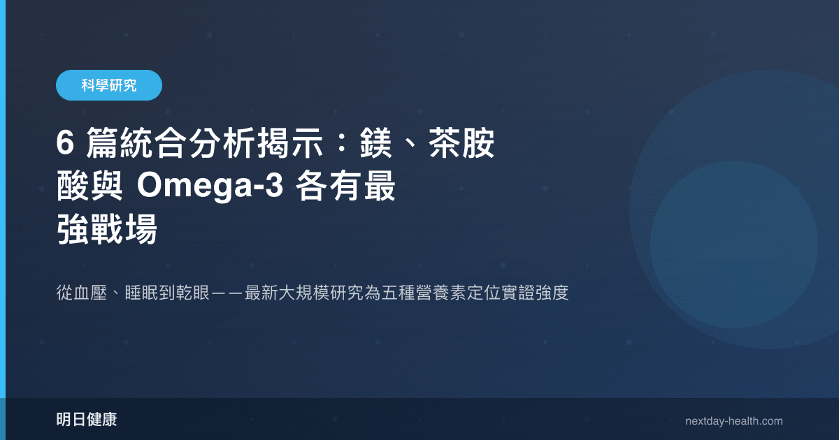 6 篇統合分析揭示：鎂、茶胺酸與 Omega-3 各有最強戰場
