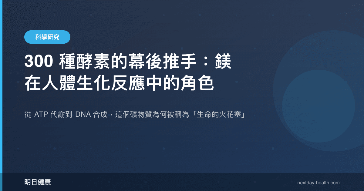 300 種酵素的幕後推手：鎂在人體生化反應中的角色