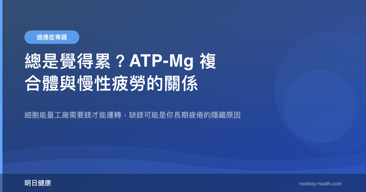 總是覺得累？ATP-Mg 複合體與慢性疲勞的關係