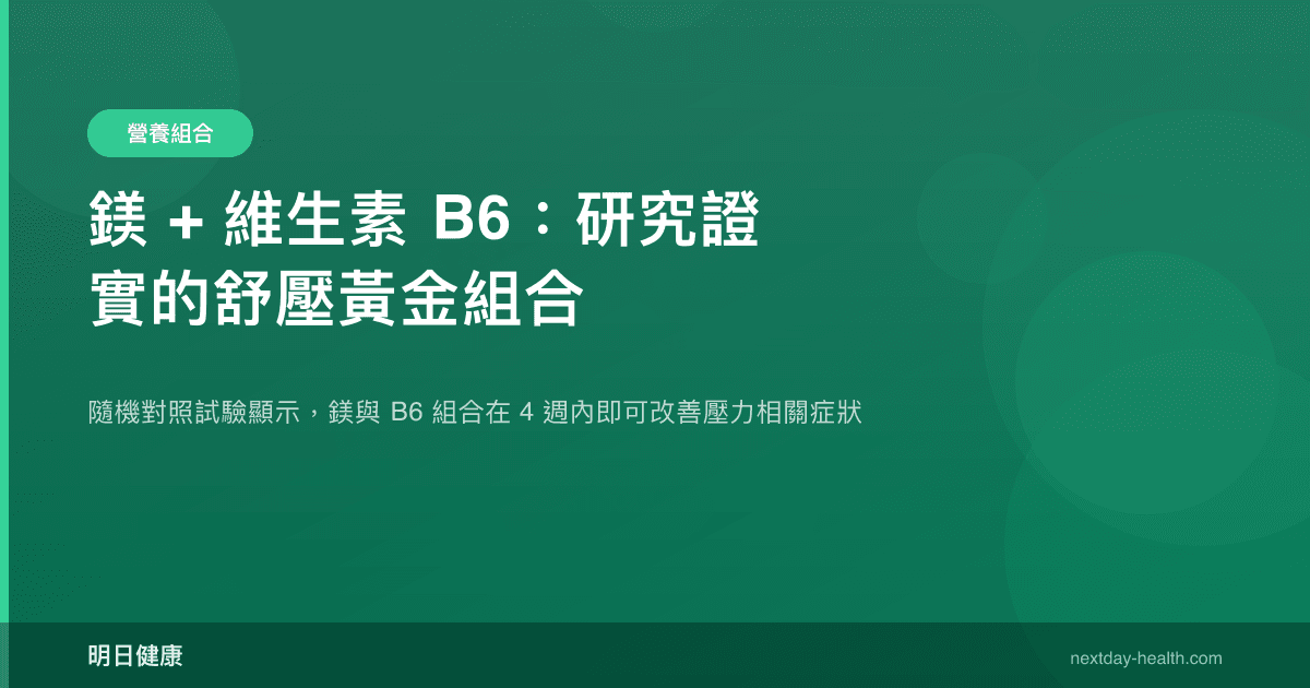 鎂 + 維生素 B6：研究證實的舒壓黃金組合