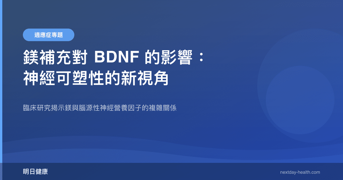 鎂補充對 BDNF 的影響：神經可塑性的新視角
