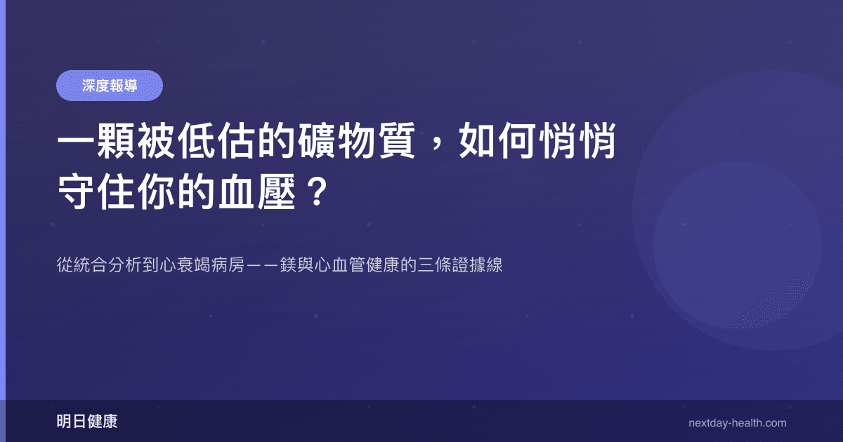 一顆被低估的礦物質，如何悄悄守住你的血壓？