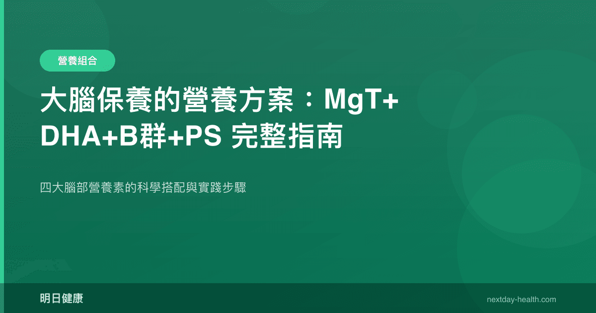 大腦保養的營養方案：MgT+DHA+B群+PS 完整指南