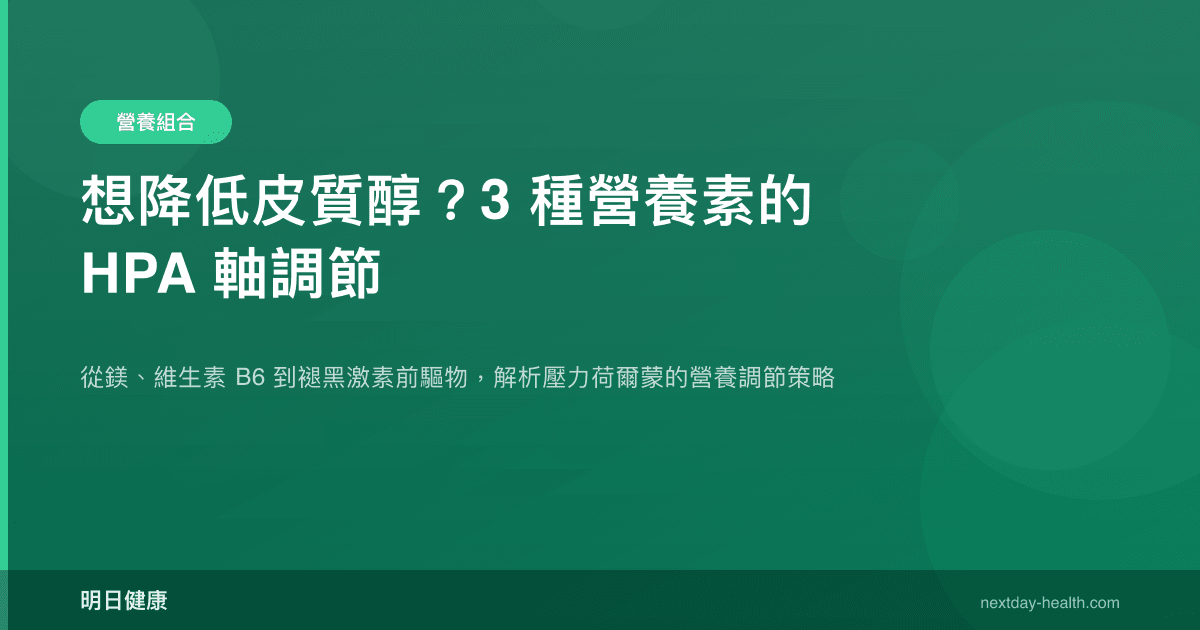 想降低皮質醇？3 種營養素的 HPA 軸調節