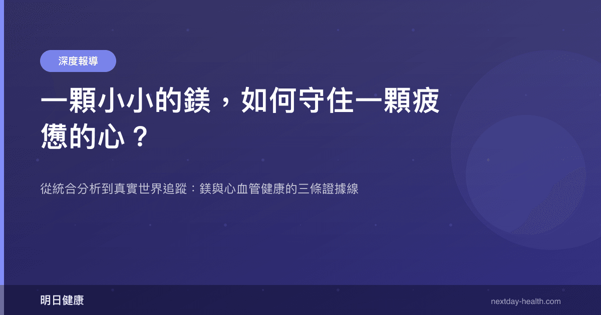 一顆小小的鎂，如何守住一顆疲憊的心？