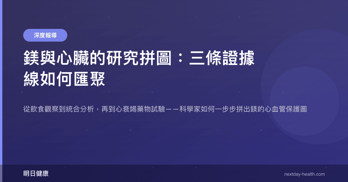 鎂與心臟的研究拼圖：三條證據線如何匯聚