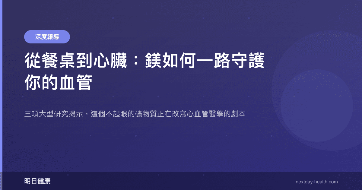 從餐桌到心臟：鎂如何一路守護你的血管