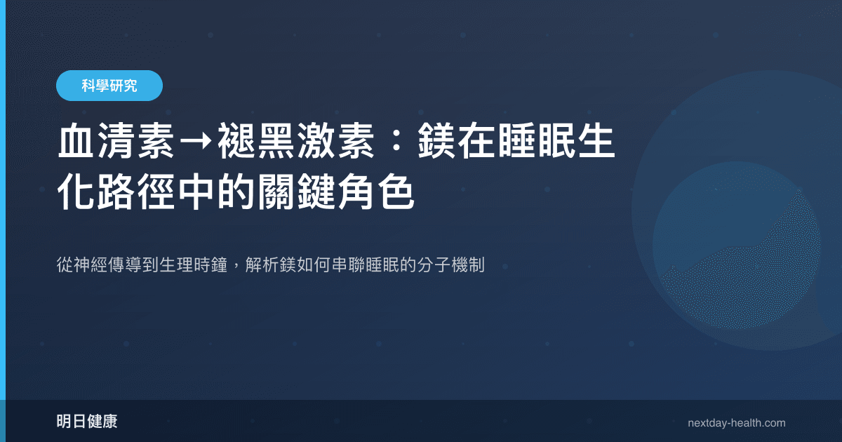血清素→褪黑激素：鎂在睡眠生化路徑中的關鍵角色