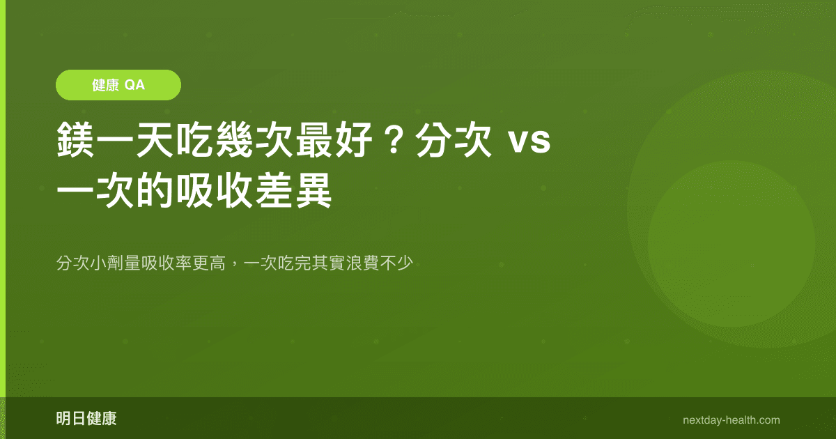 鎂一天吃幾次最好？分次 vs 一次的吸收差異