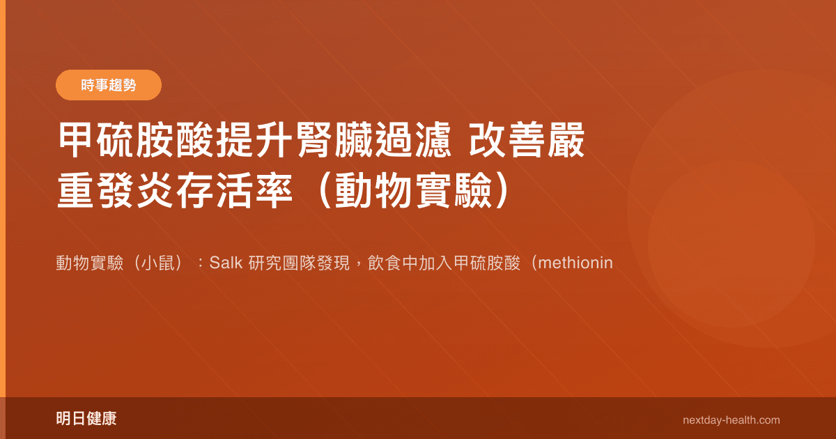 甲硫胺酸提升腎臟過濾 改善嚴重發炎存活率（動物實驗）