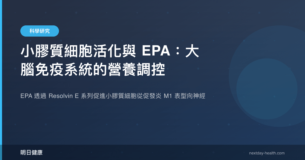 小膠質細胞活化與 EPA：大腦免疫系統的營養調控
