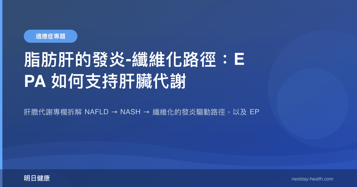 脂肪肝的發炎-纖維化路徑：EPA 如何支持肝臟代謝