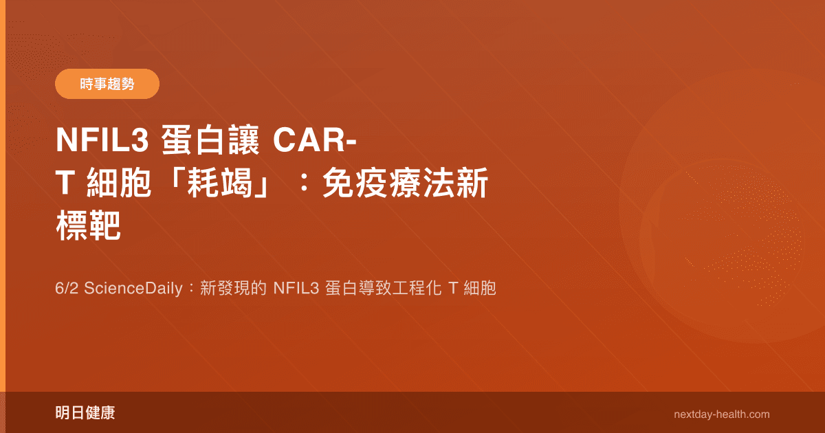 NFIL3 蛋白讓 CAR-T 細胞「耗竭」：免疫療法新標靶