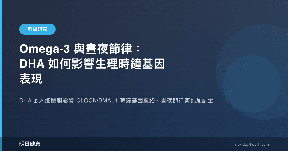Omega-3 與晝夜節律：DHA 如何影響生理時鐘基因表現
