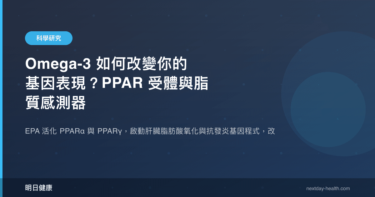 Omega-3 如何改變你的基因表現？PPAR 受體與脂質感測器
