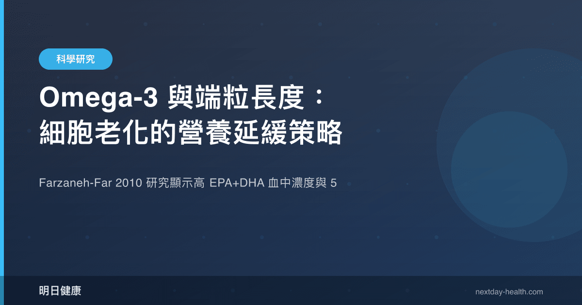 Omega-3 與端粒長度：細胞老化的營養延緩策略