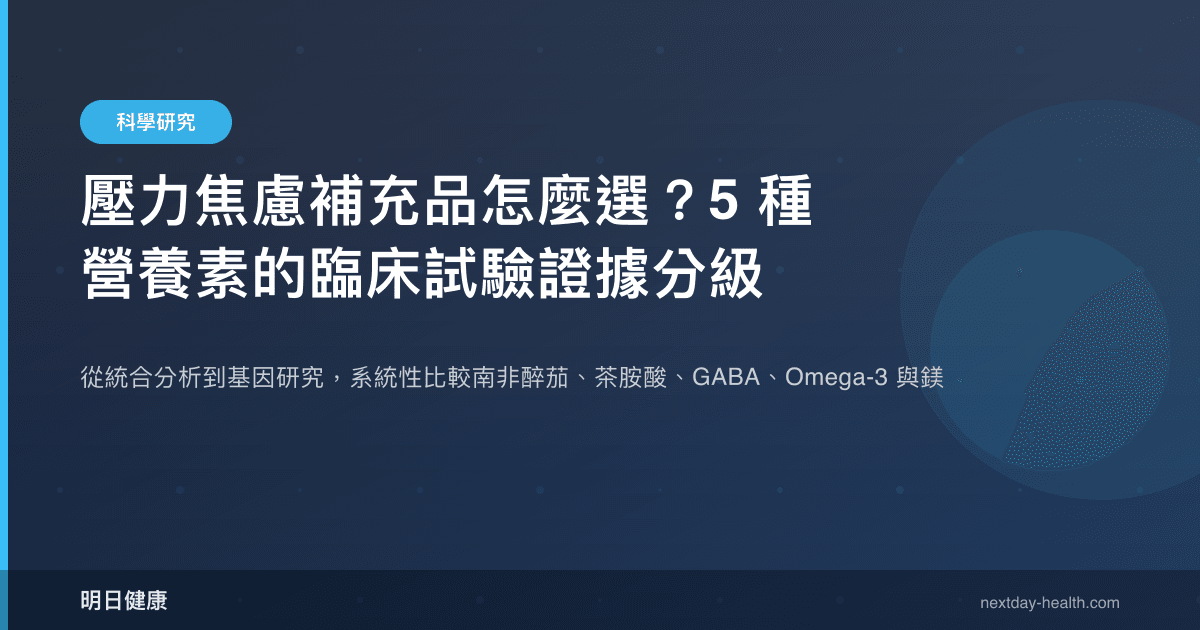 壓力焦慮補充品怎麼選？5 種營養素的臨床試驗證據分級