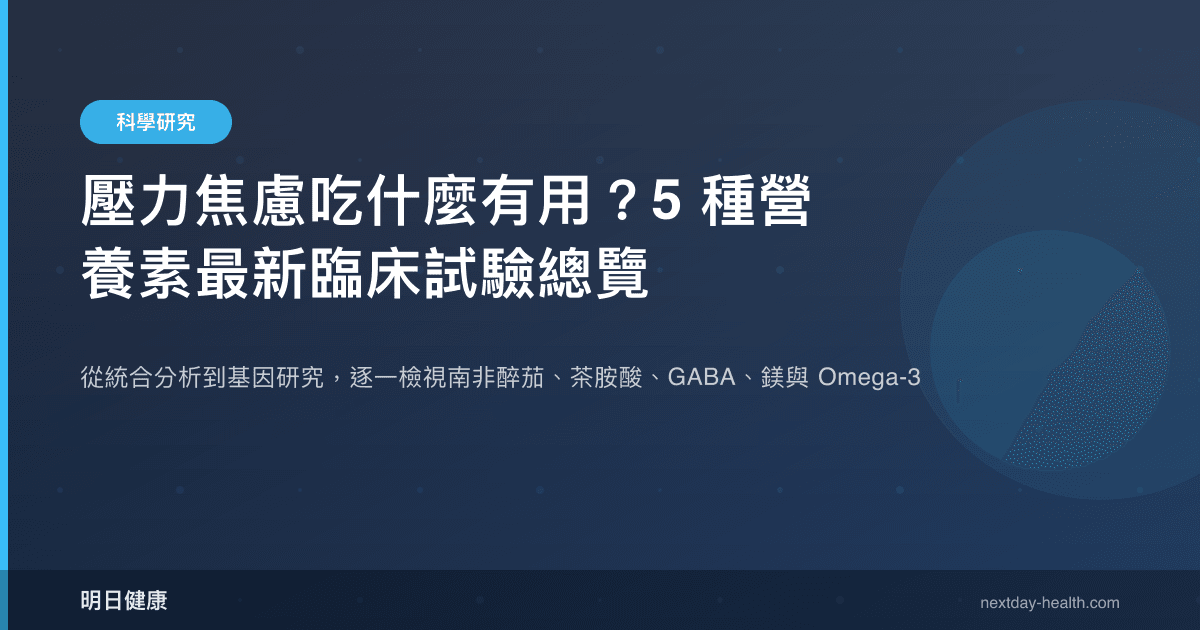 壓力焦慮吃什麼有用？5 種營養素最新臨床試驗總覽