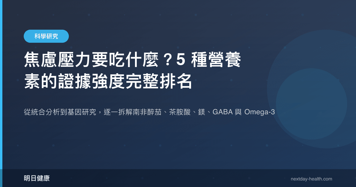 焦慮壓力要吃什麼？5 種營養素的證據強度完整排名