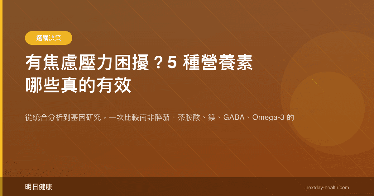 有焦慮壓力困擾？5 種營養素哪些真的有效