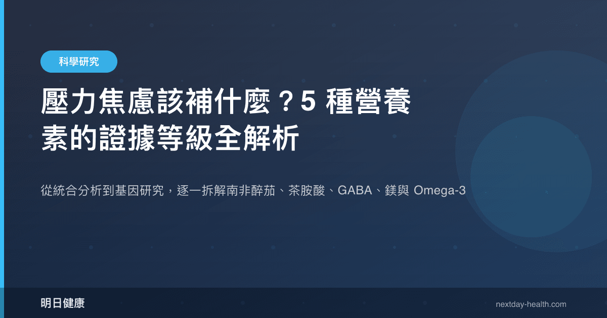 壓力焦慮該補什麼？5 種營養素的證據等級全解析