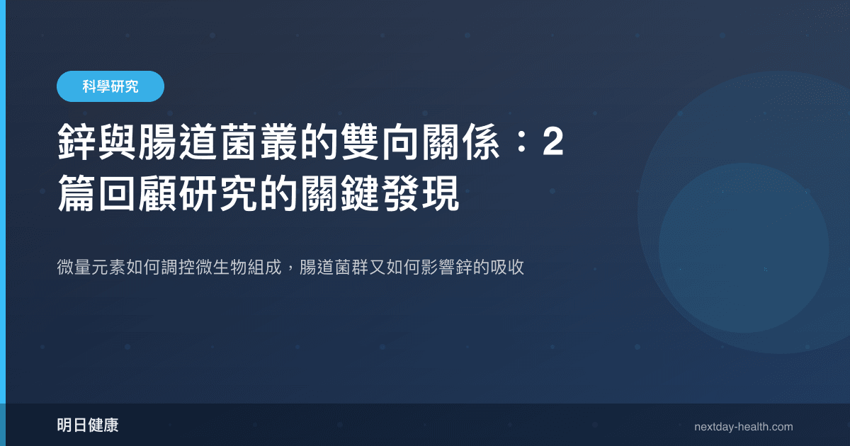 鋅與腸道菌叢的雙向關係：2 篇回顧研究的關鍵發現